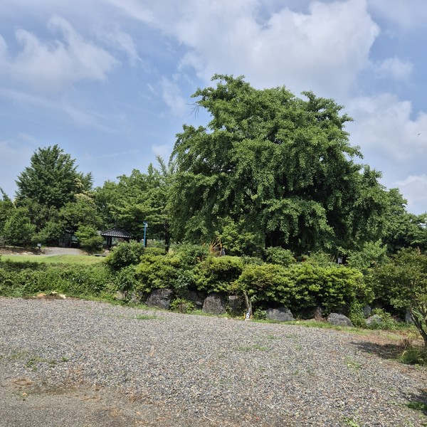 예약 상품 이미지