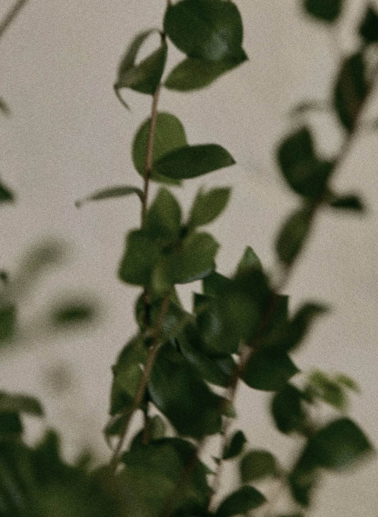 Stress Relief를 위한 플레이리스트