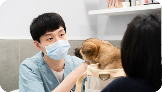 홍보 마케팅