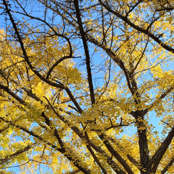 예약 상품 이미지