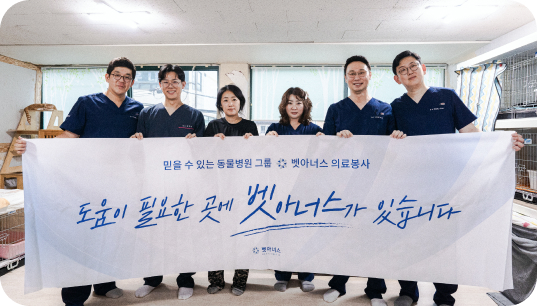 의료 봉사