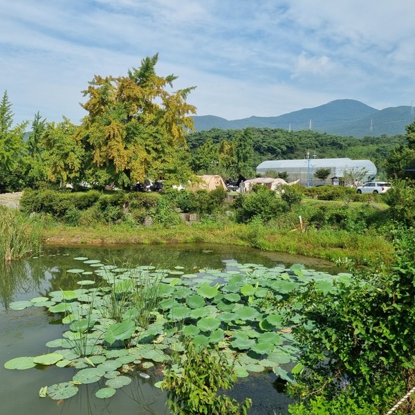 예약 상품 이미지