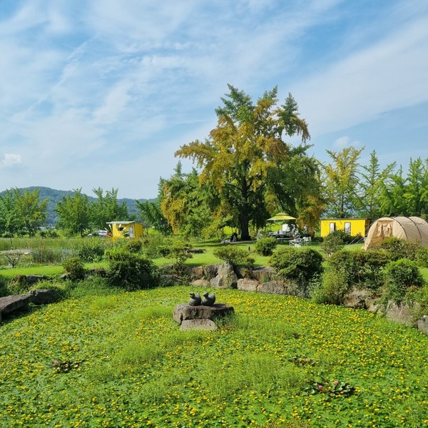 예약 상품 이미지