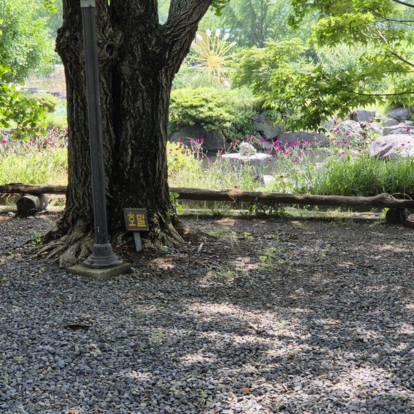 예약 상품 이미지