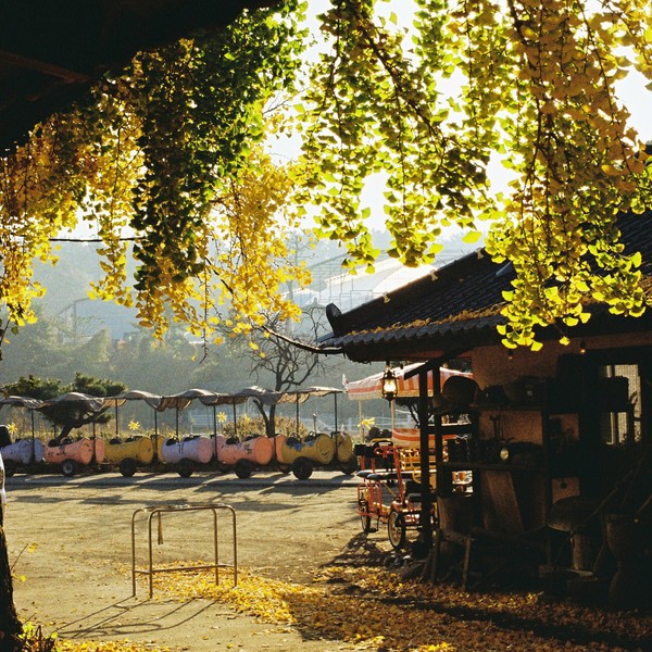 예약 상품 이미지