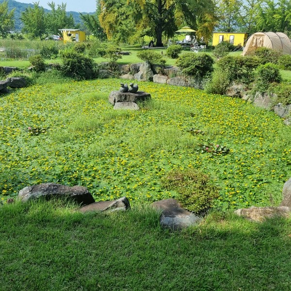 예약 상품 이미지