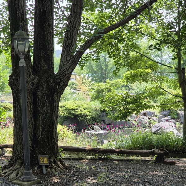 예약 상품 이미지