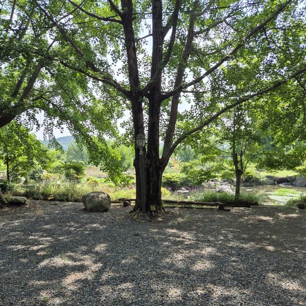 예약 상품 이미지