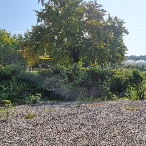 예약 상품 이미지