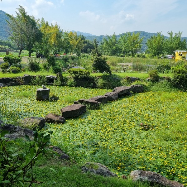 예약 상품 이미지