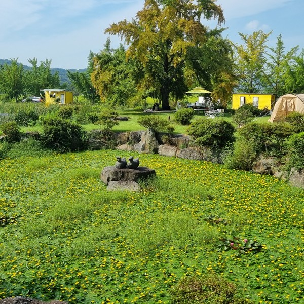 예약 상품 이미지