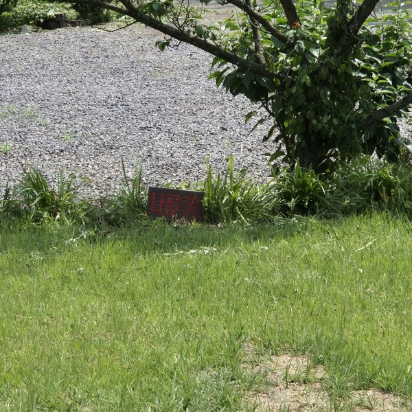 예약 상품 이미지