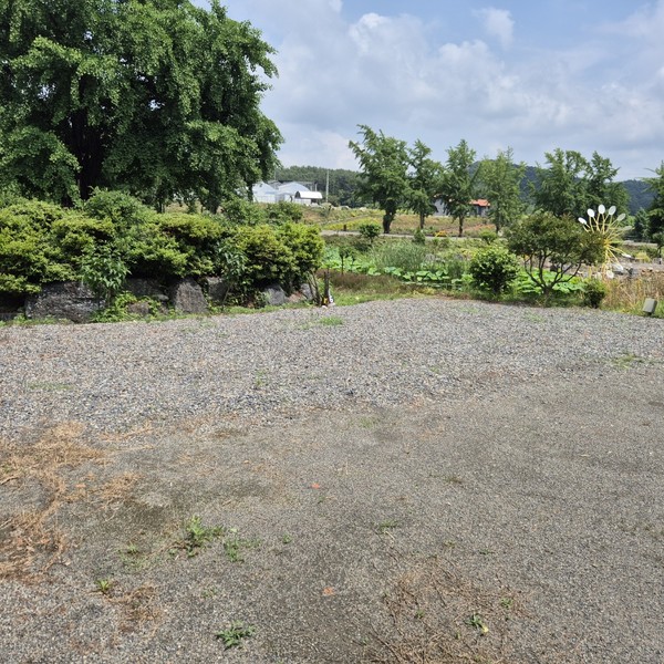 예약 상품 이미지