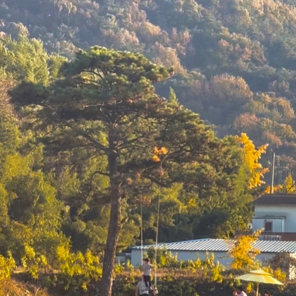 예약 상품 이미지