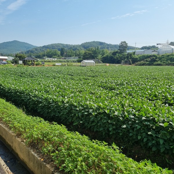 예약 상품 이미지