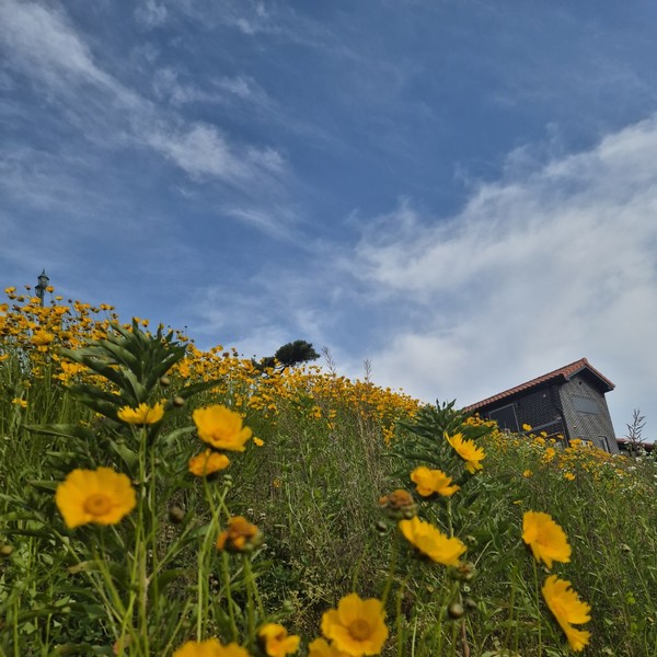 예약 상품 이미지