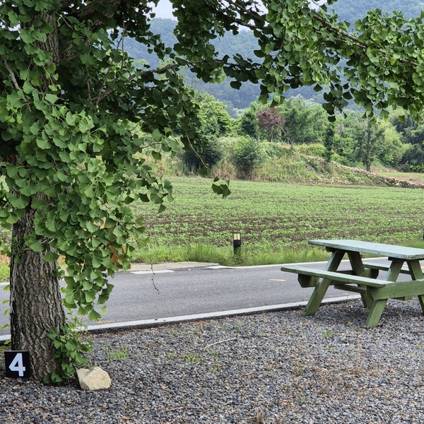 예약 상품 이미지