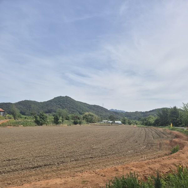 예약 상품 이미지