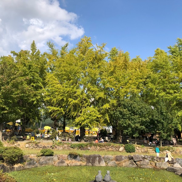 예약 상품 이미지