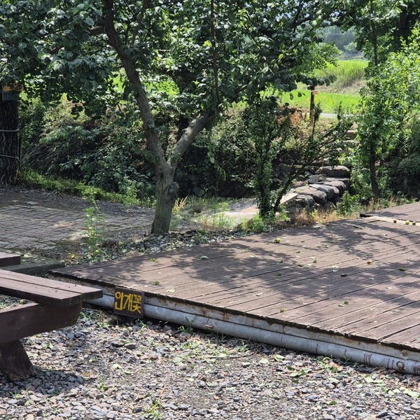 예약 상품 이미지