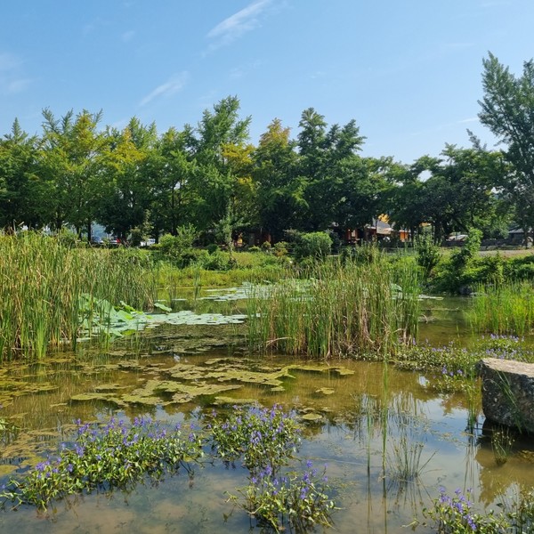 예약 상품 이미지