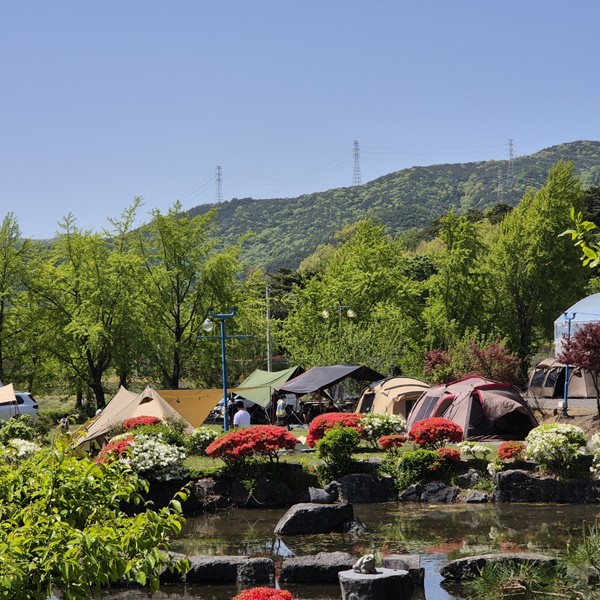 예약 상품 이미지