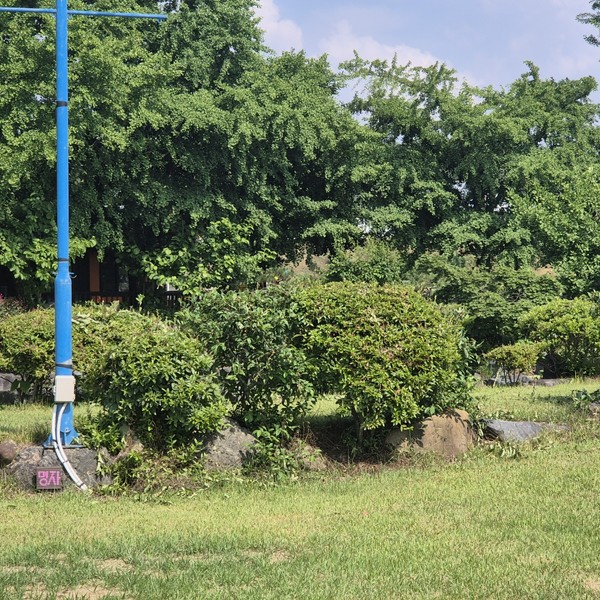 예약 상품 이미지