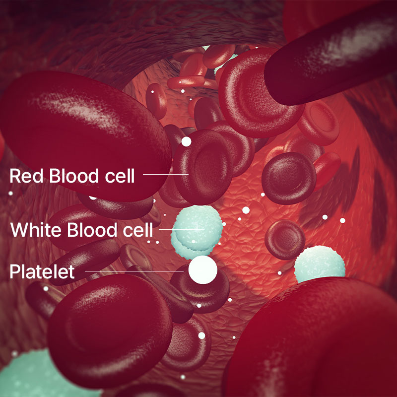Blood components