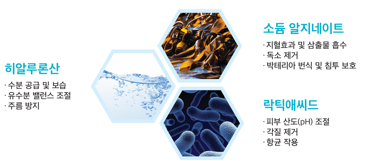 히라셀의 세가지 성분 히알루론산 락틱애시드, 알지네이트 원주피부과 원더스의원