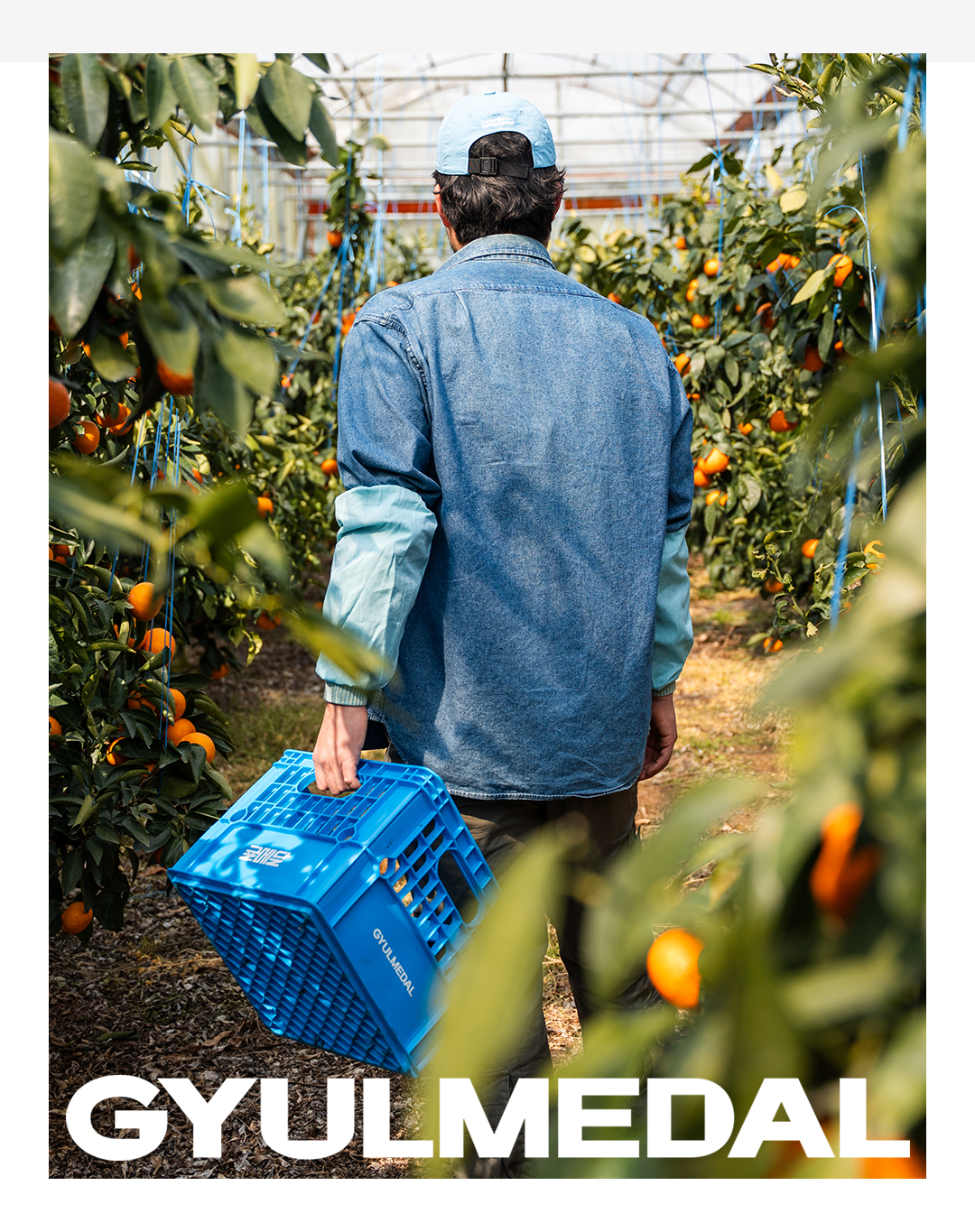 Farmer 1
