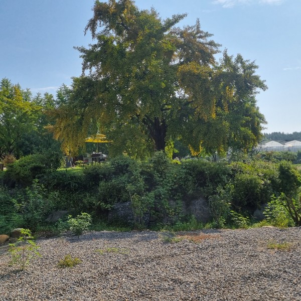 예약 상품 이미지