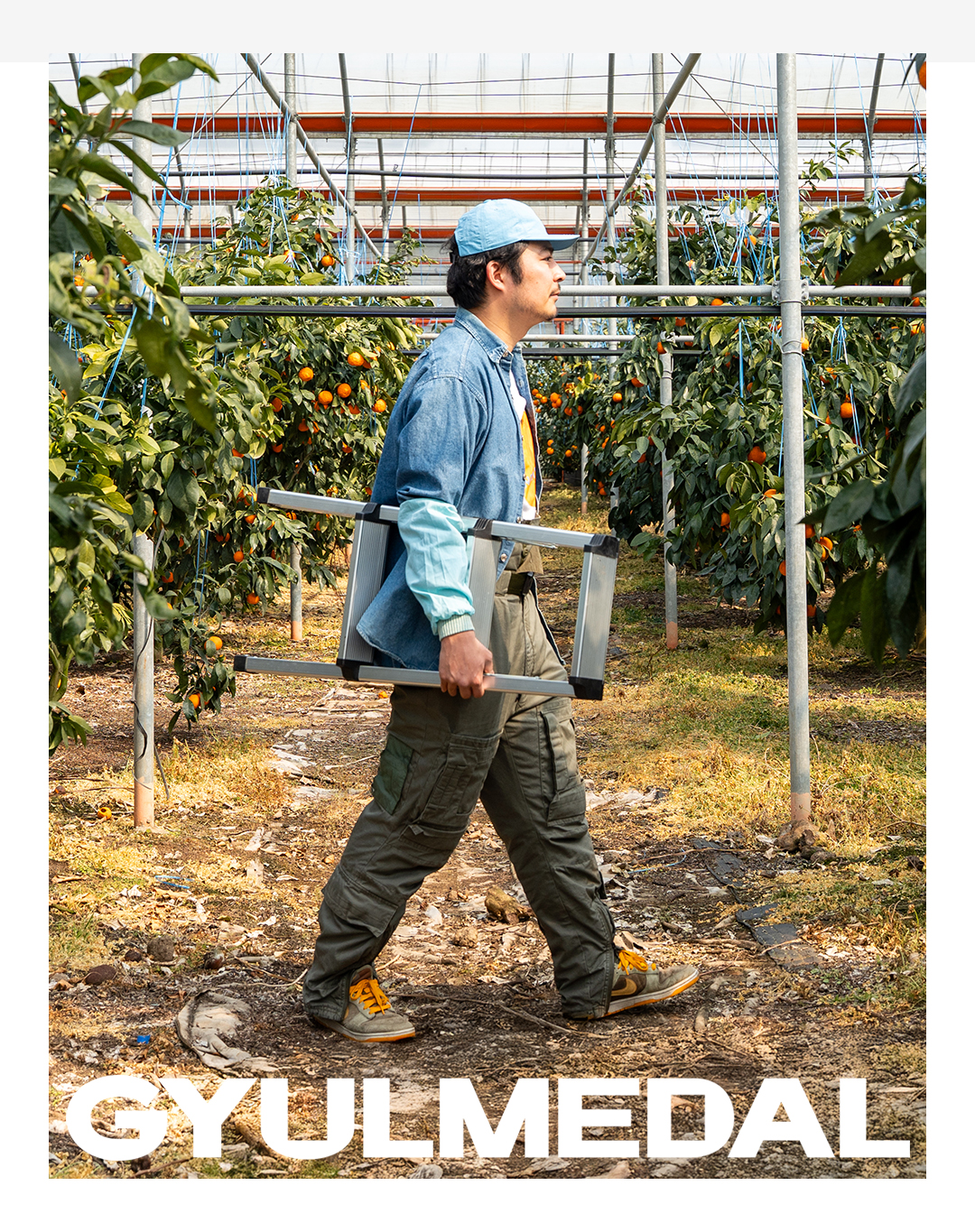 Farmer 2