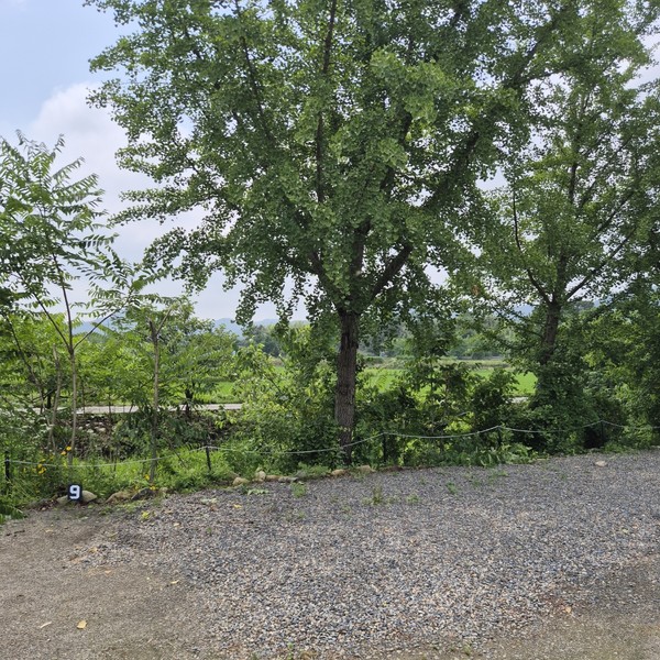 예약 상품 이미지