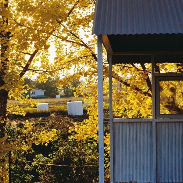 예약 상품 이미지