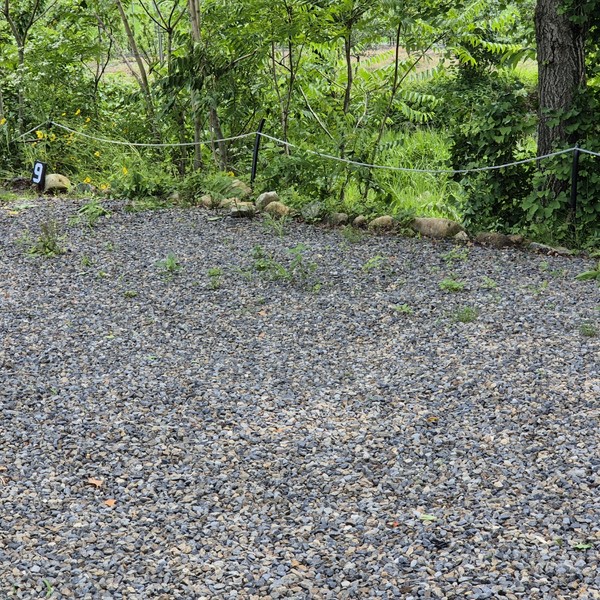 예약 상품 이미지