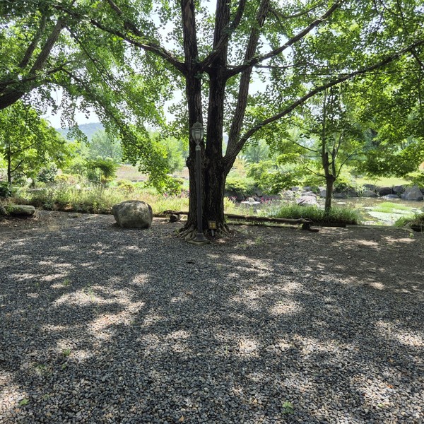 예약 상품 이미지