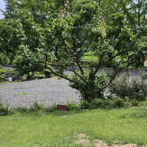 예약 상품 이미지