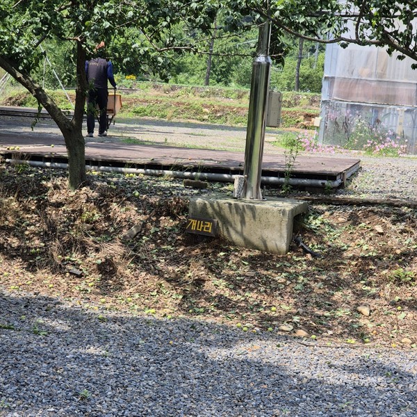 예약 상품 이미지