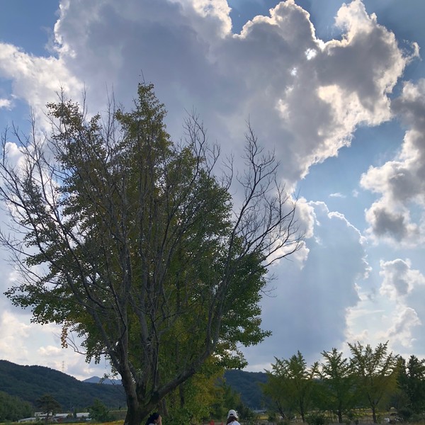 예약 상품 이미지