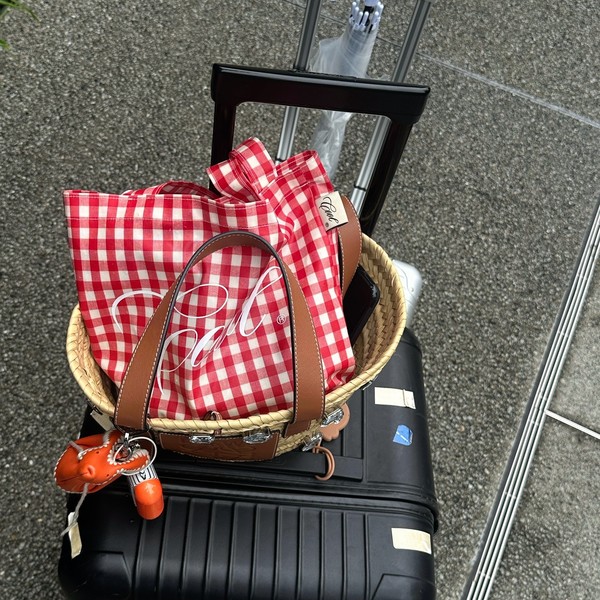 Cool Gingham Tote (Red) : Cool Smile Club