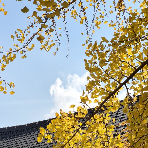 예약 상품 이미지