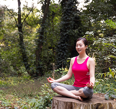 지회·분과