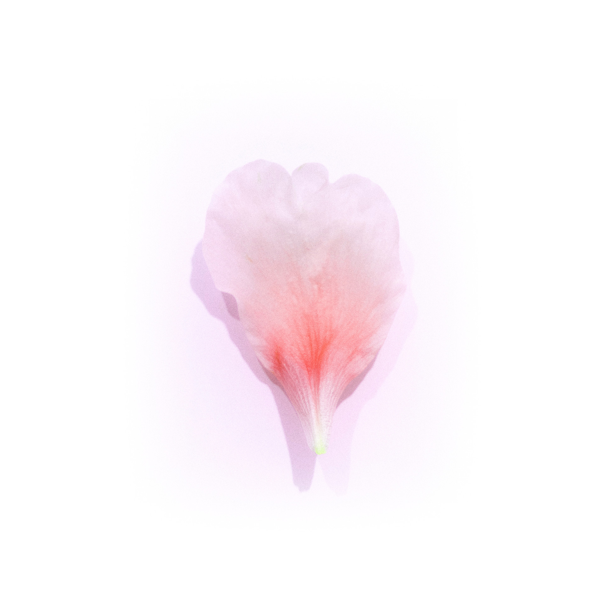 mobile background