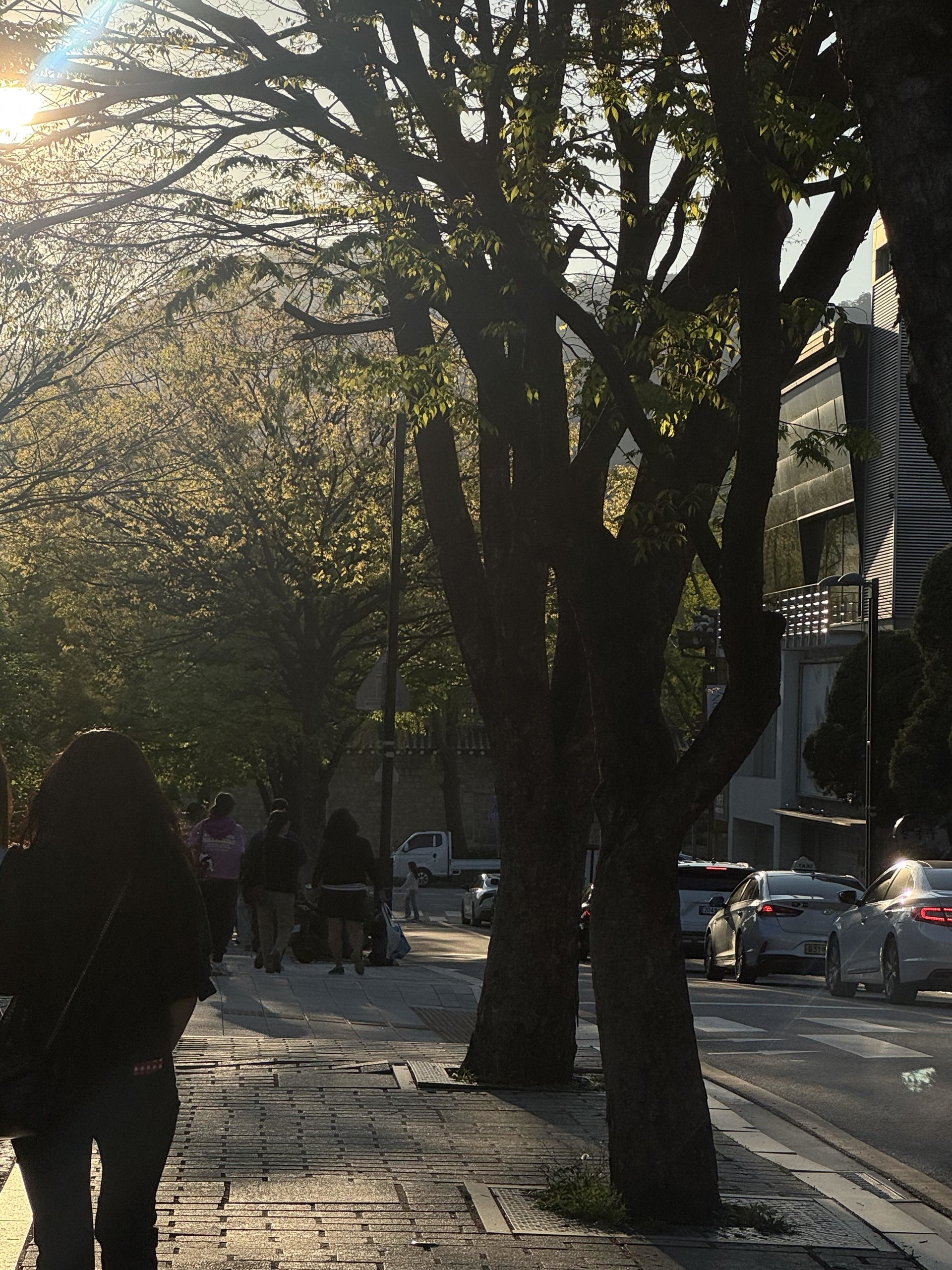 AMFY 향기를 찾아서