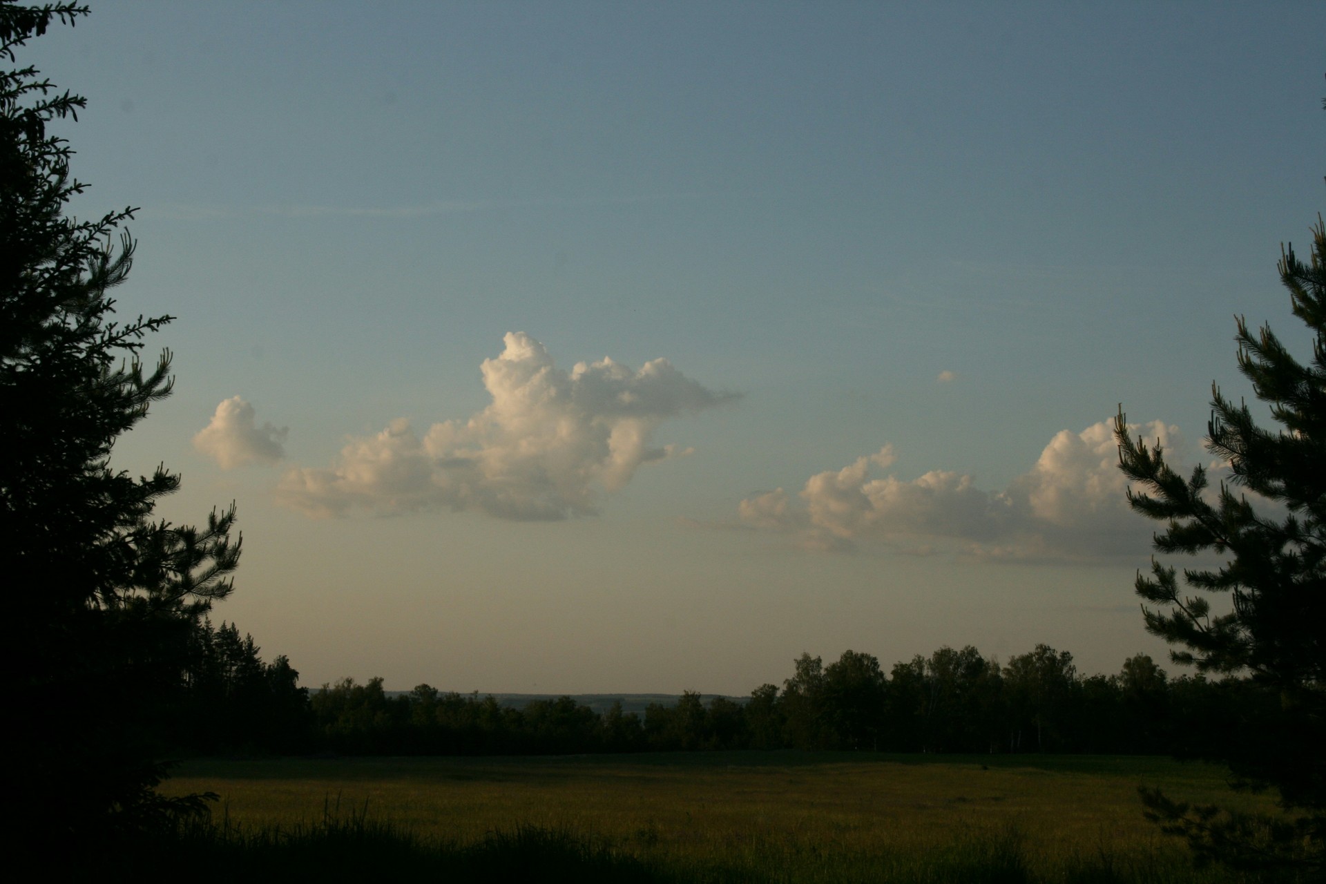 <br><br>Summer<br>Whipped Cream<br>