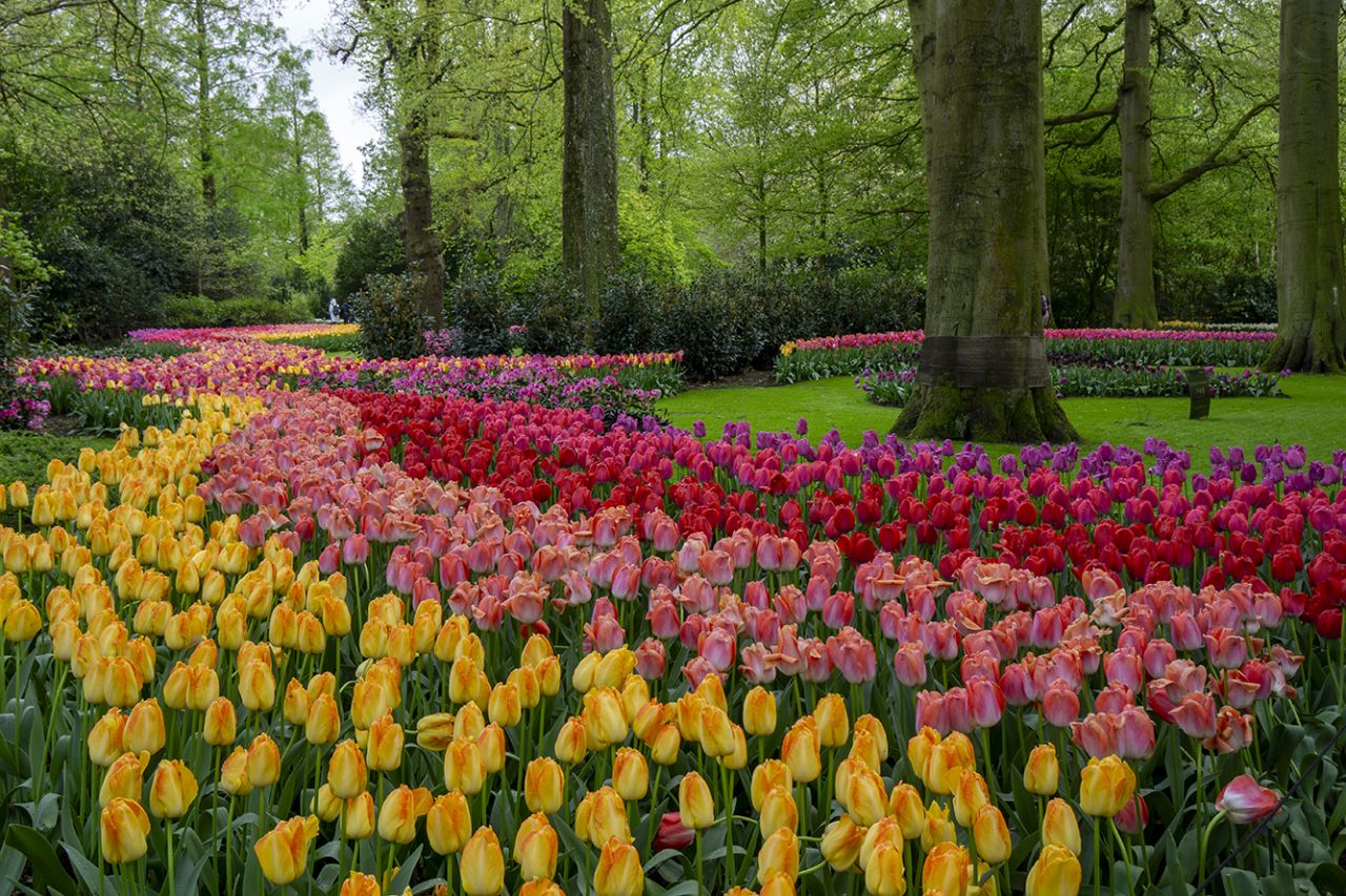 유럽미술여행 고흐여행 준데르크 빈센트 반 고흐 여행 네덜란드 