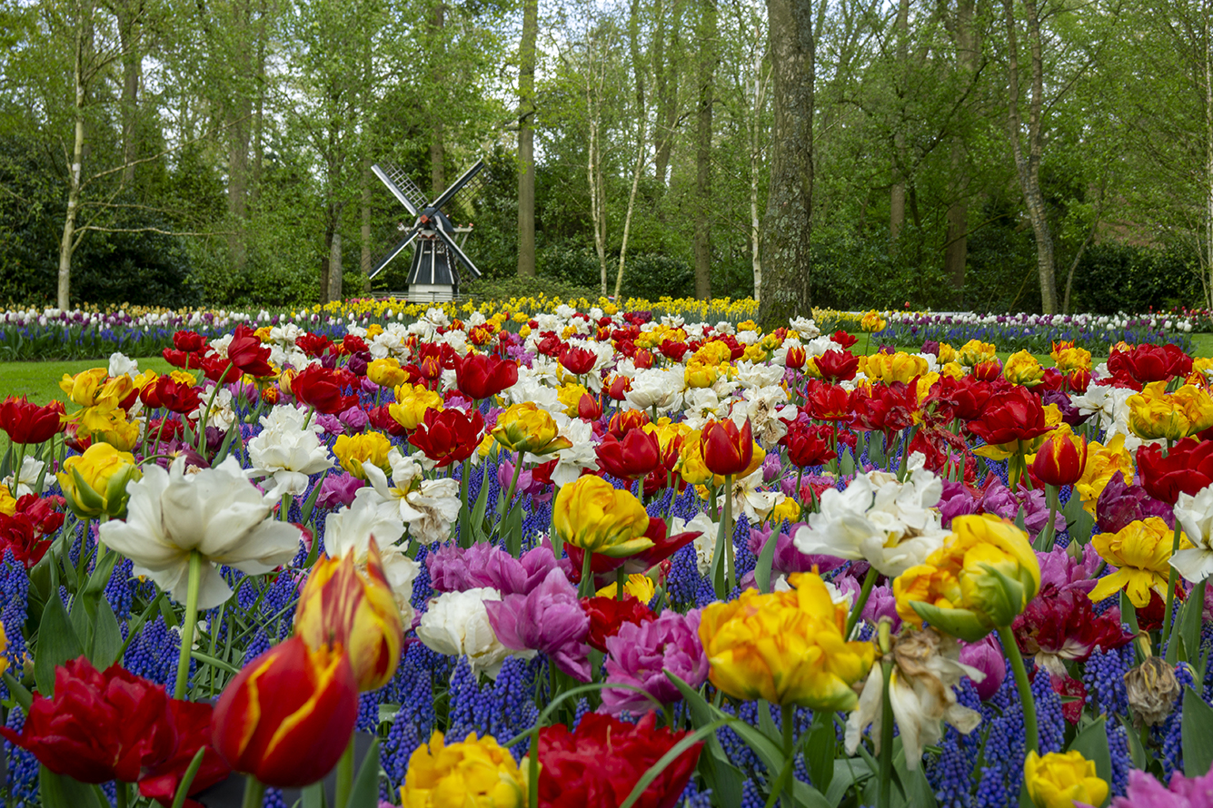 유럽미술테마여행 프랑스미술여행 아비뇽 고흐여행