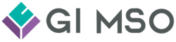 지아이엠에스오