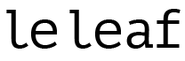 THE SOAP COMPANY
