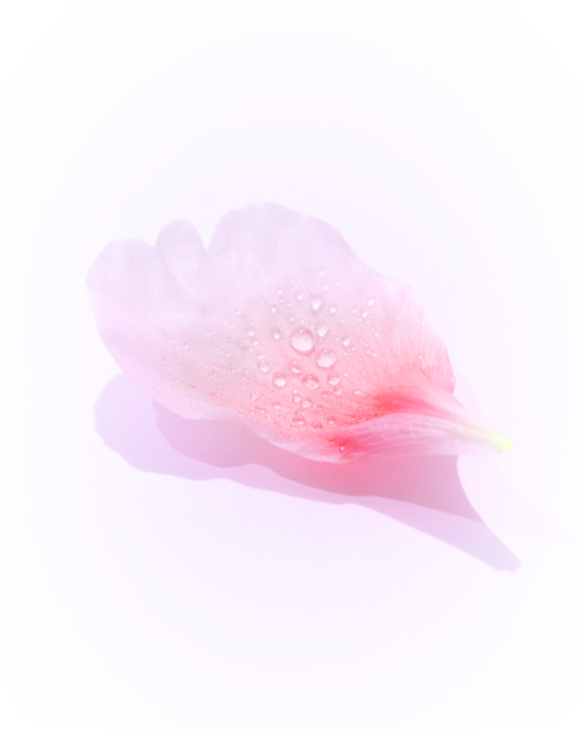 mobile background